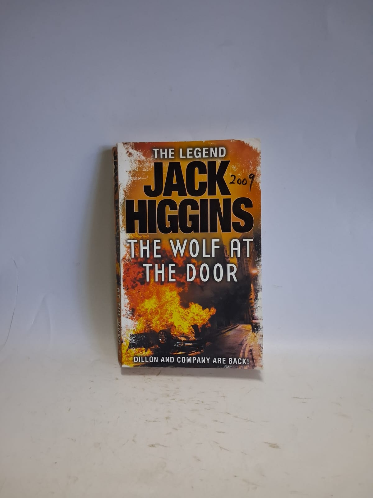 Higgins, Jack - THE WOLF AT THE DOOR