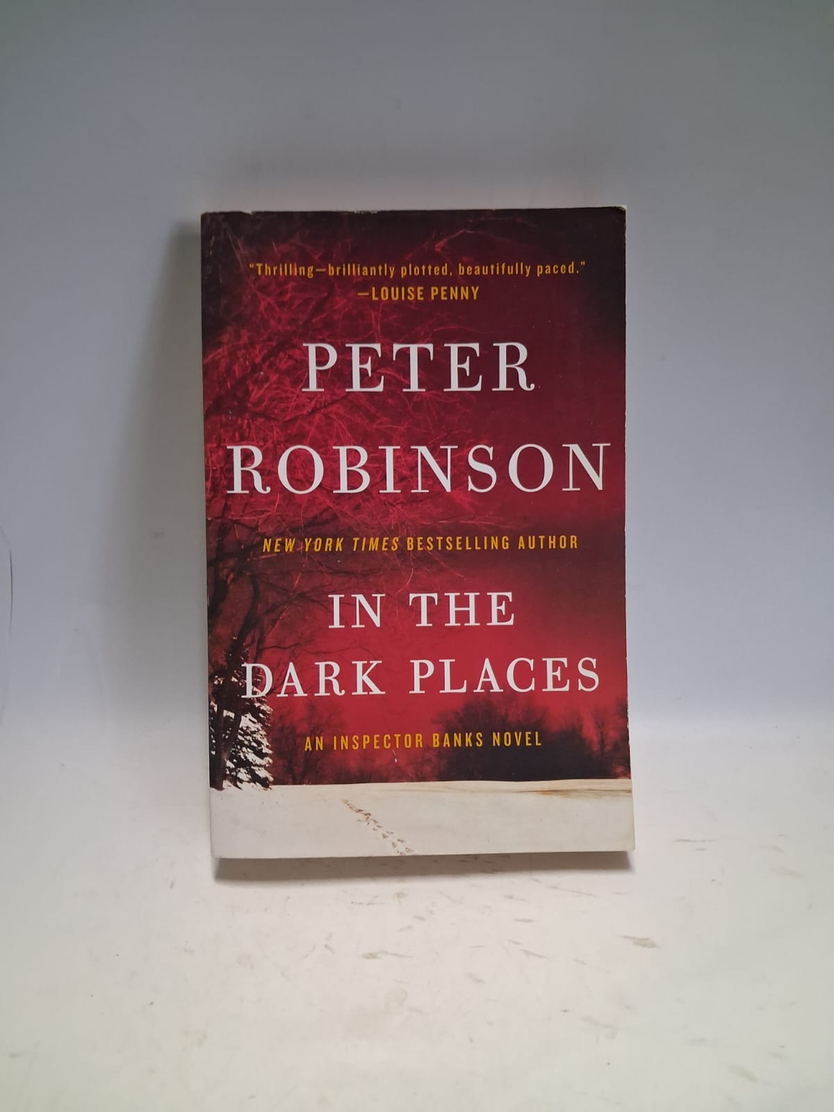 Robinson, Peter - IN THE DARK PLACES