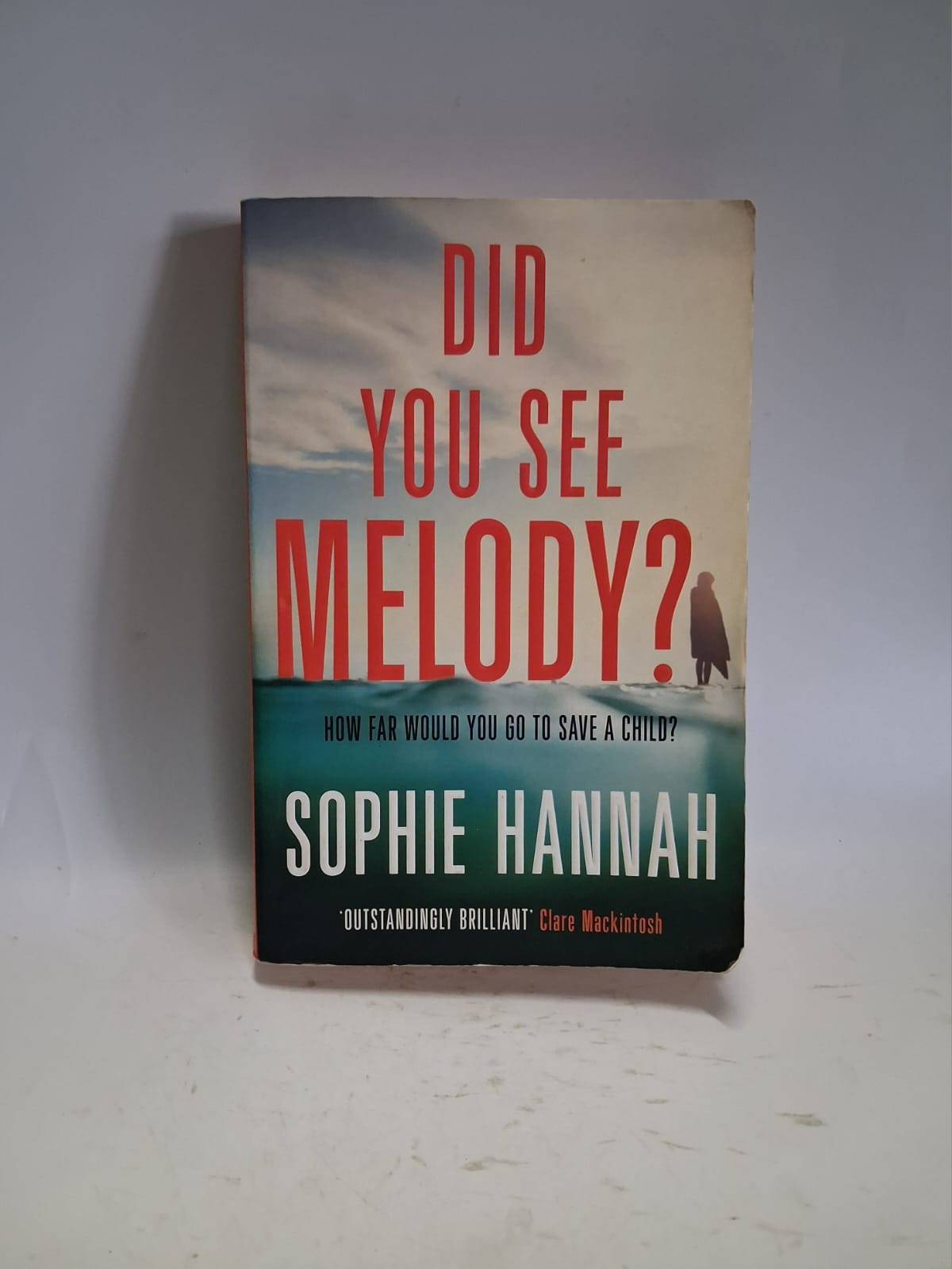 Hannah, Sophie - DID YOU SEE MELODY?