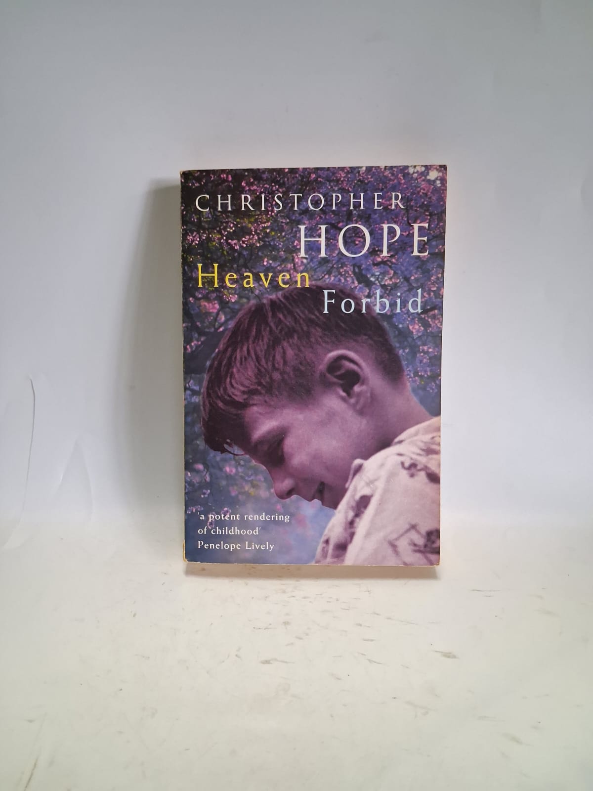 Hope, Christopher - HEAVEN FORBID