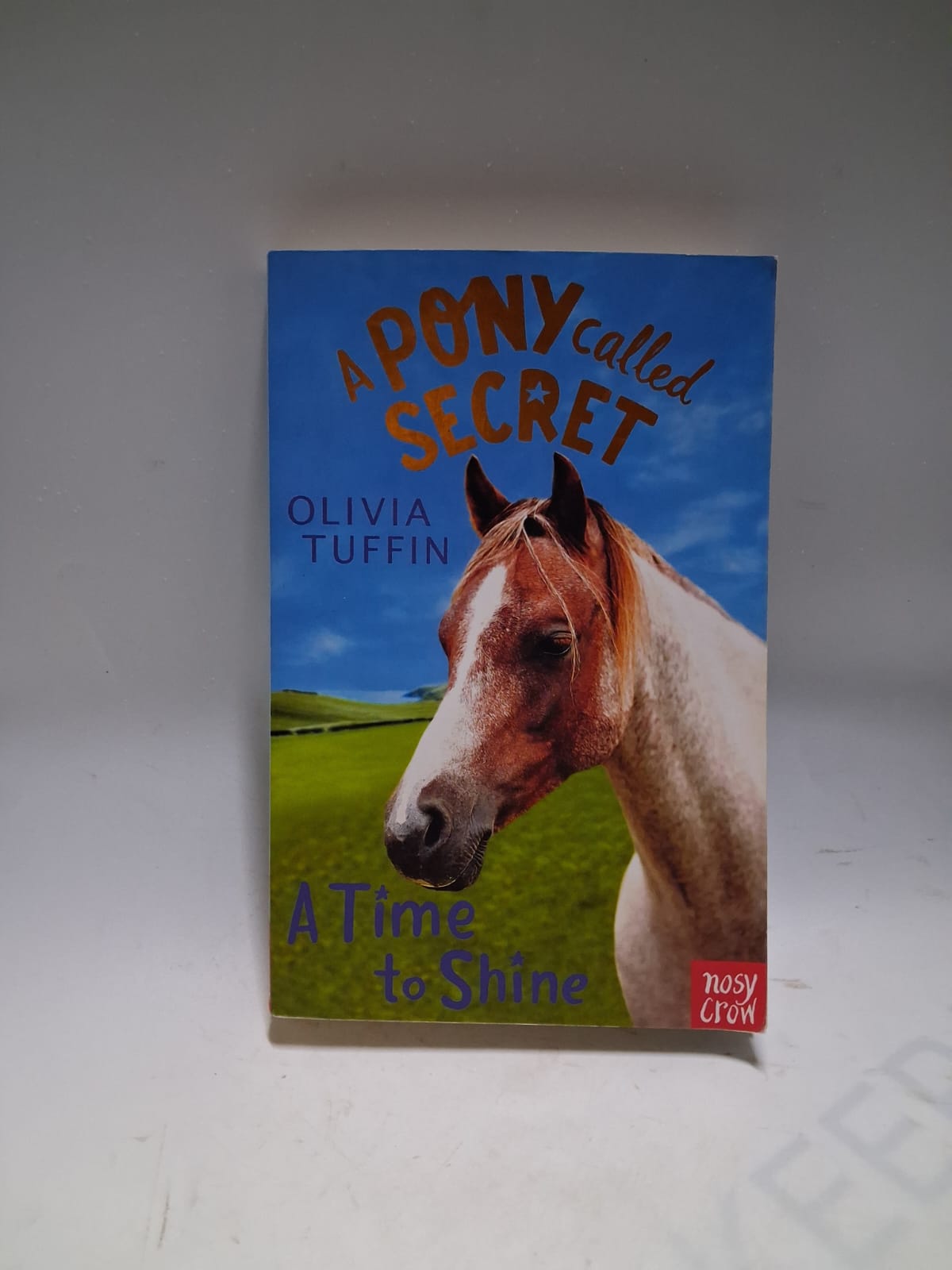 Tuffin, Olivia - A PONY CALLED SECRET: A TIME TO SHINE