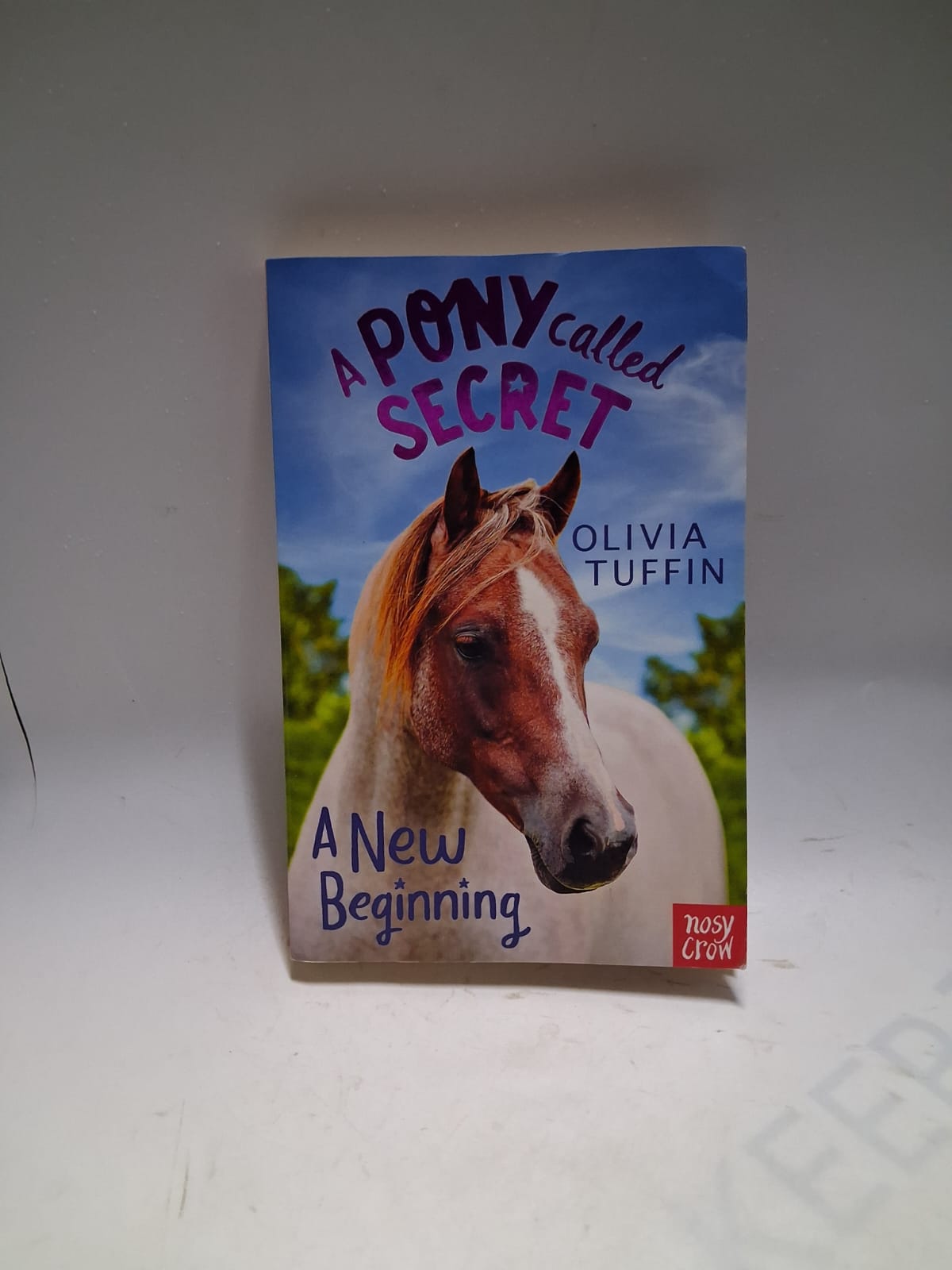 Tuffin, Olivia - A PONY CALLED SECRET: A NEW BEGINNING