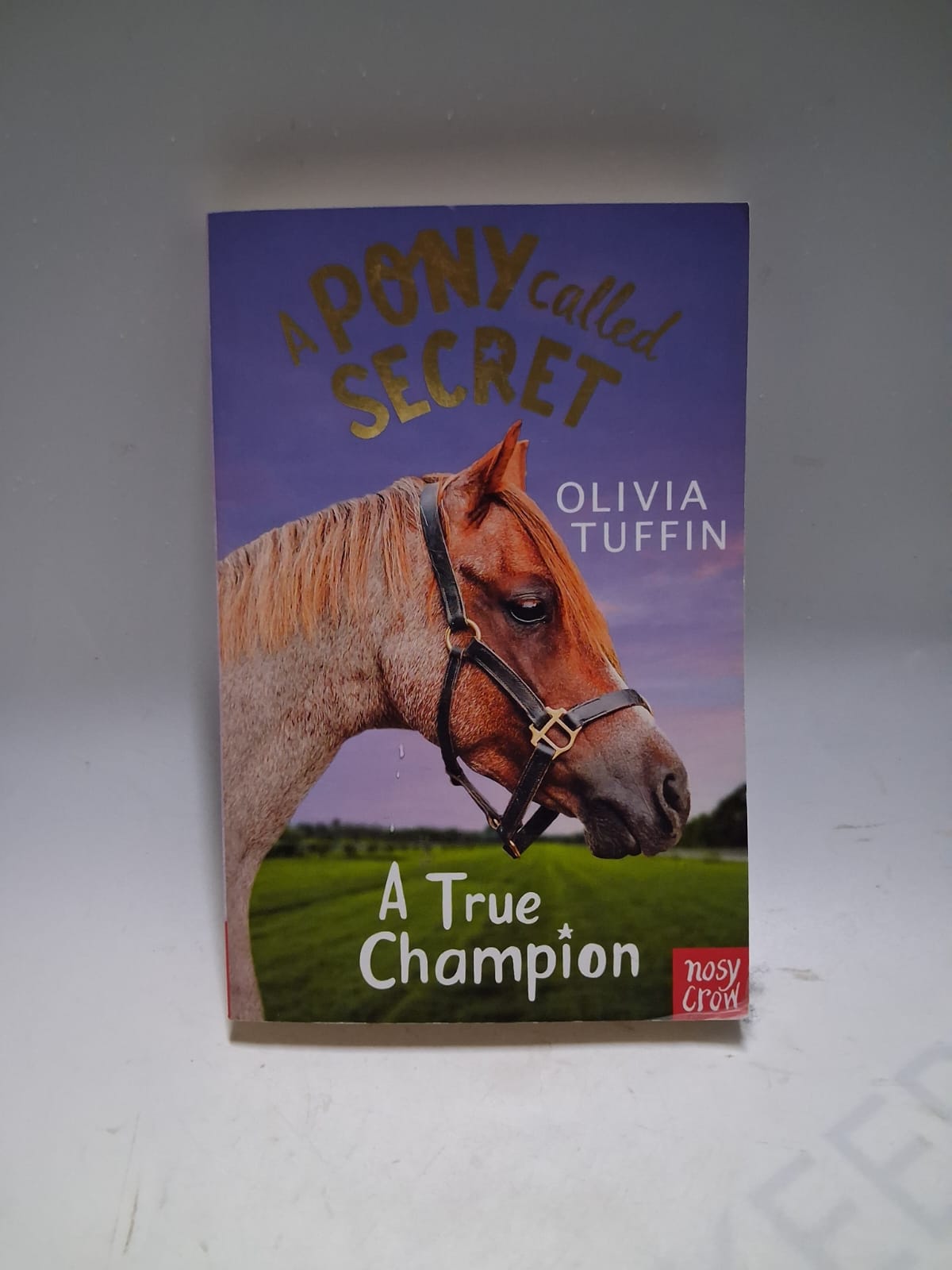 Tuffin, Olivia - A PONY CALLED SECRET: A TRUE CHAMPION