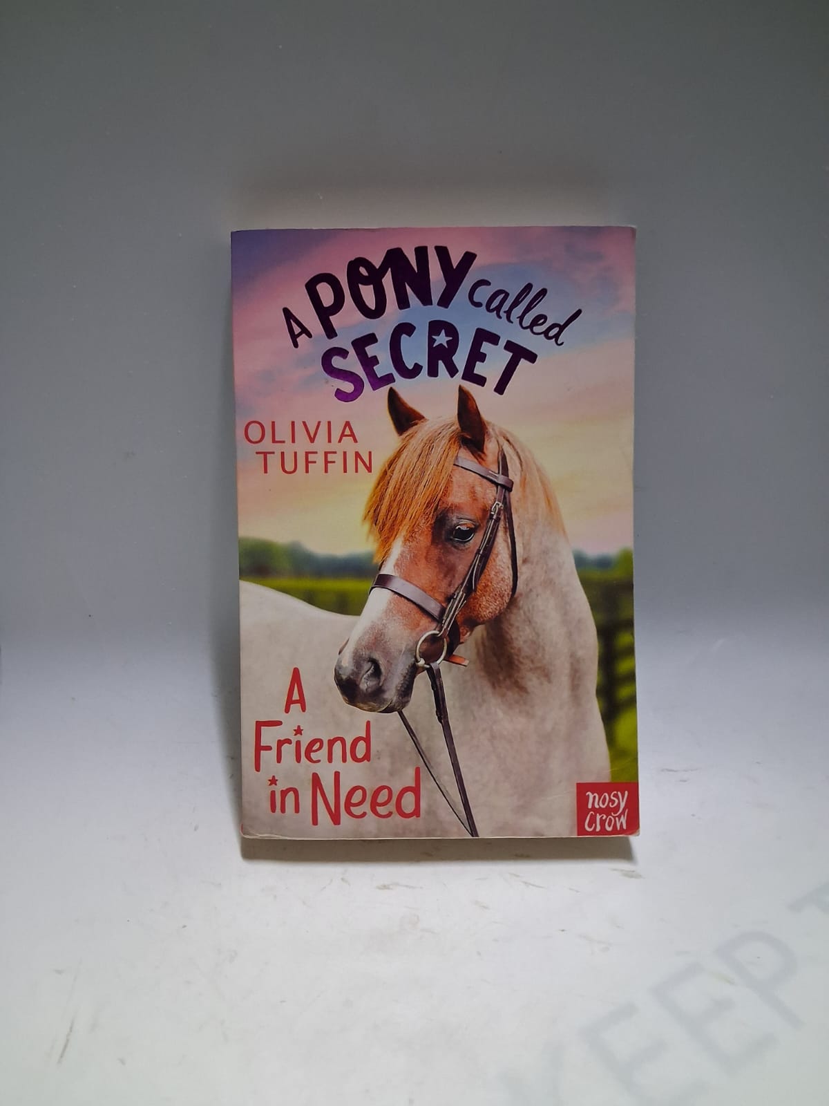 Tuffin, Olivia - A PONY CALLED SECRET: A FRIEND IN NEED