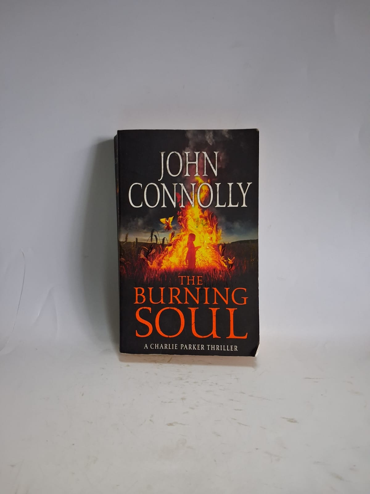 Connolly, John - THE BURNING SOUL