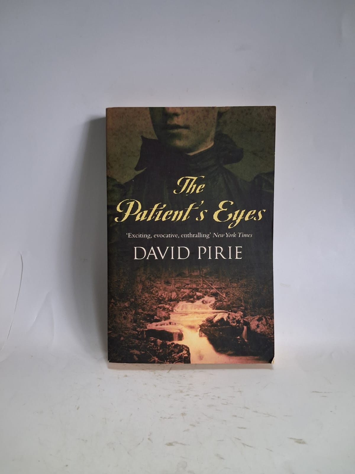 Pirie, David - THE PATIENT'S EYES