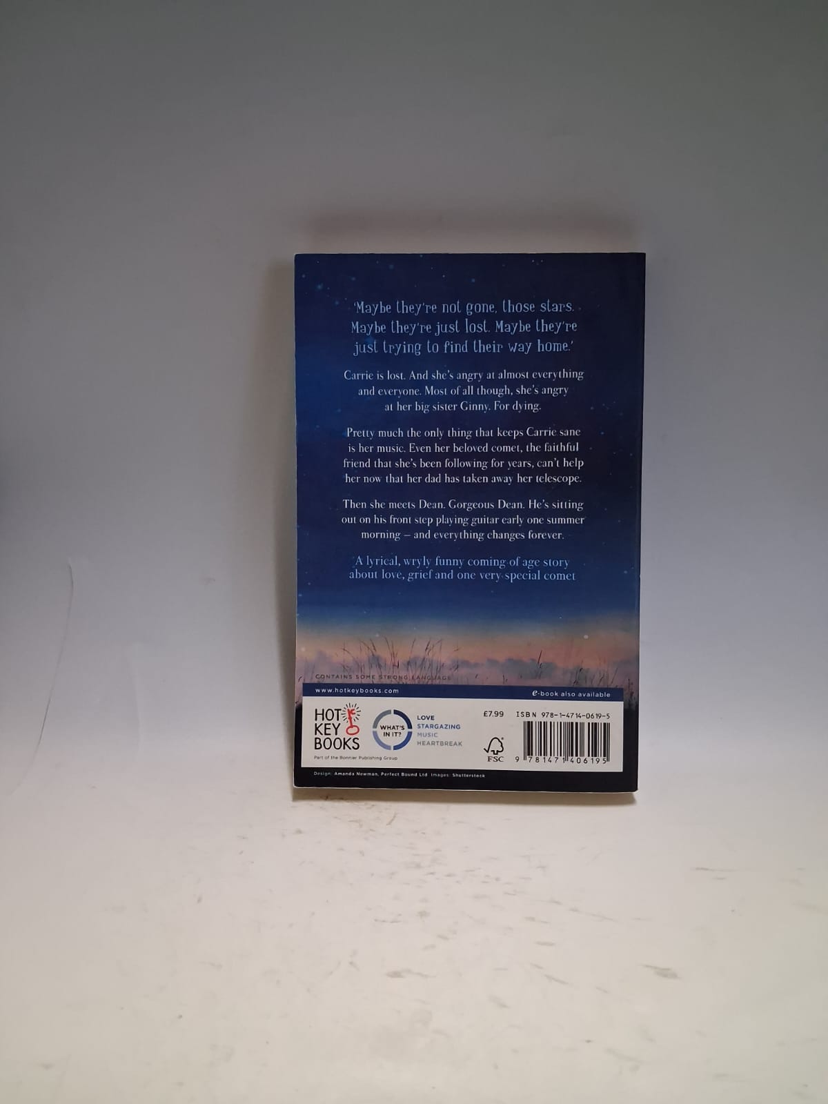 Selin Davis, Lisa - LOST STARS
