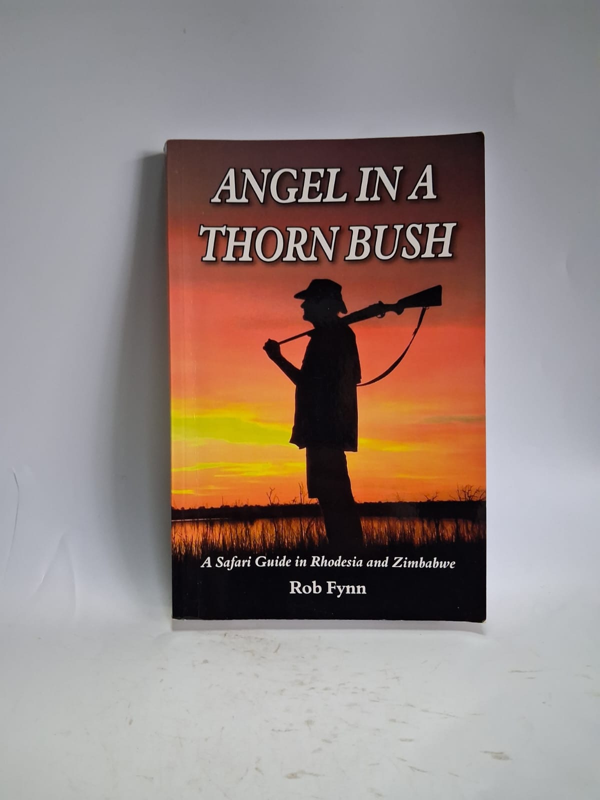 Fynn, Rob - ANGEL IN A THORN BUSH