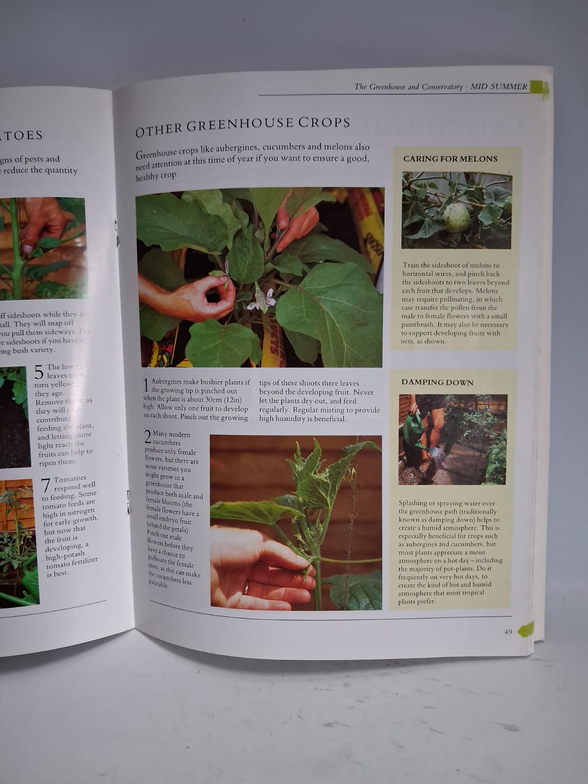 THE SEASONAL KITCHEN GARDEN