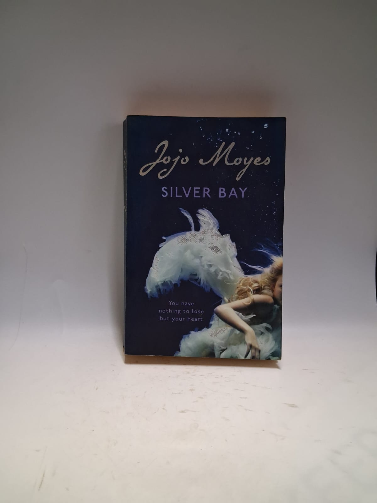 Moyes, Jojo - SILVER BAY
