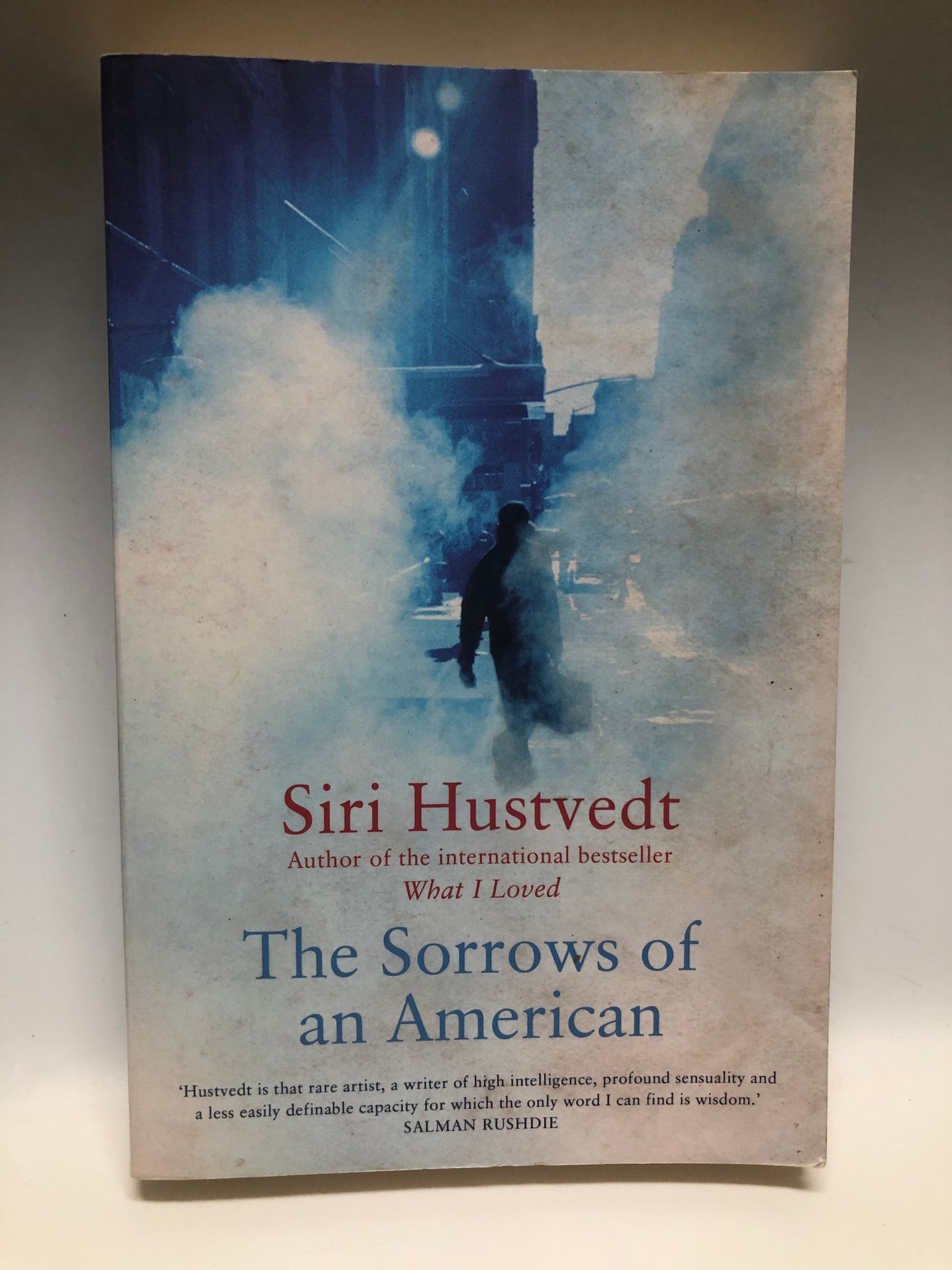 Hustvedt, Siri - THE SORROWS OF AN AMERICAN