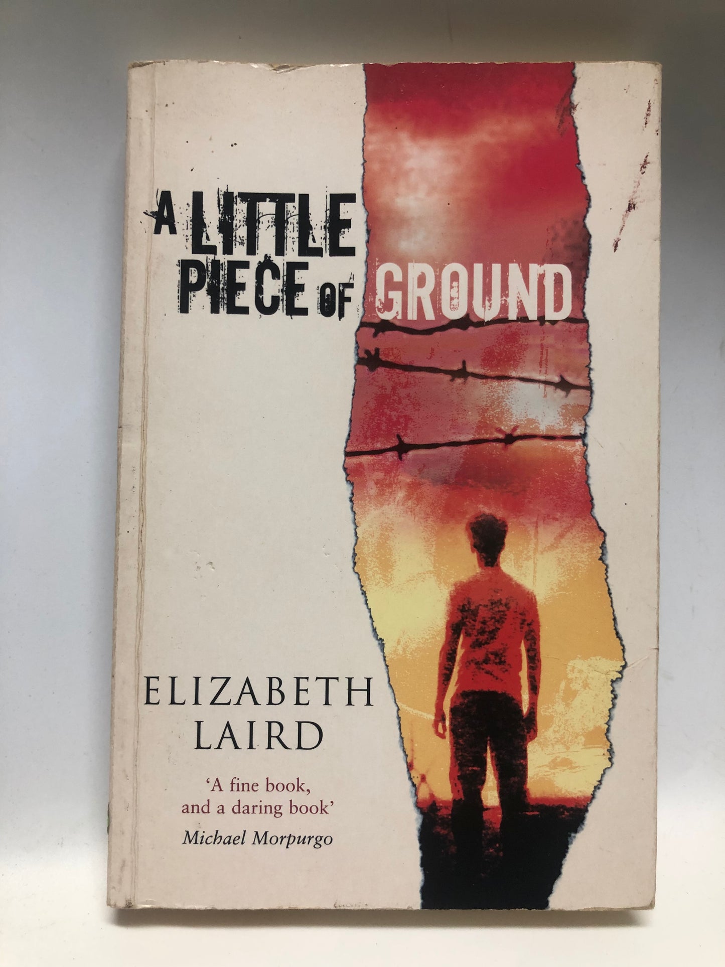 Laird, Elizabeth - A LITTLE PIECE OF GROUND