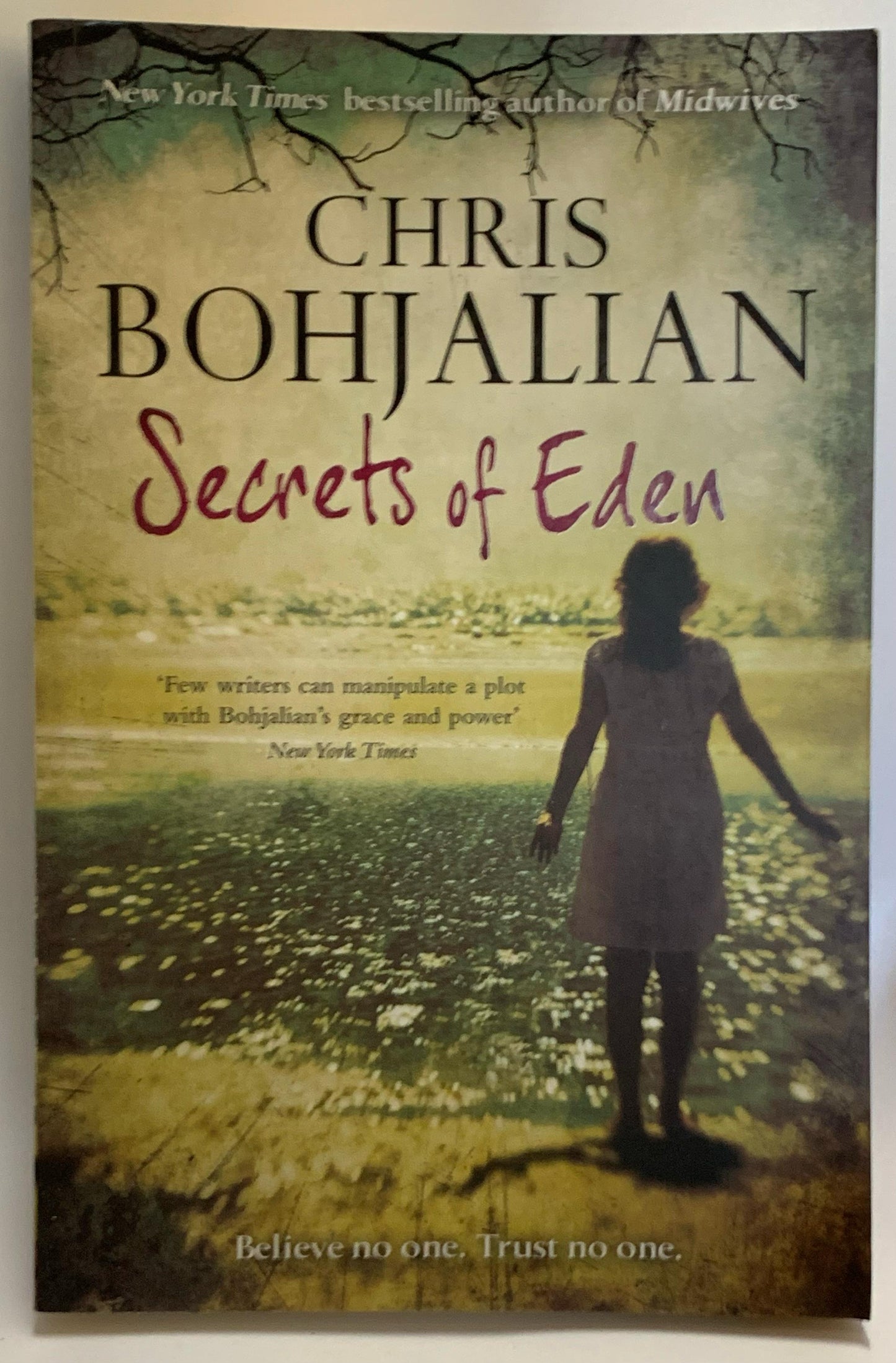Bohjalian, Chris - SECRETS OF EDEN