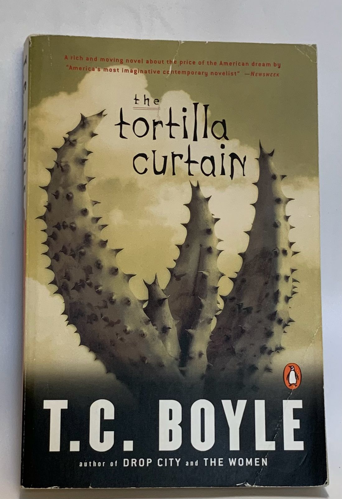 Boyle, T.C. - THE TORTILLA CURTAIN